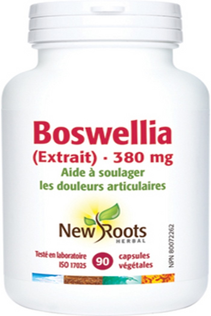 New Roots Extrait de Boswellia 380mg 90caps