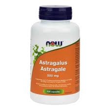 Now Astragale 500mg 100 capsules