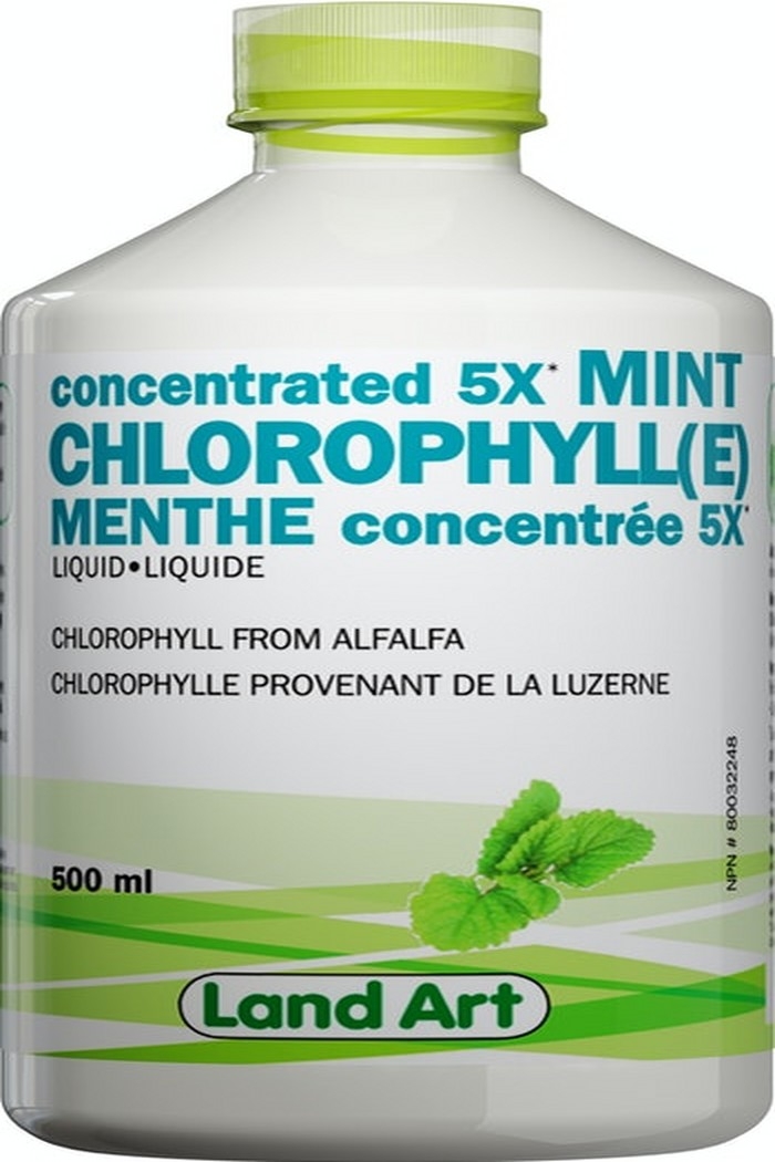 Landart Chlorophylle 5X concentré Menthe 500ml