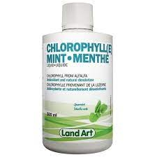 Land Art Chlorophylle liquide menthe verte 500ml