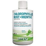 Land Art Chlorophylle liquide menthe verte 500ml