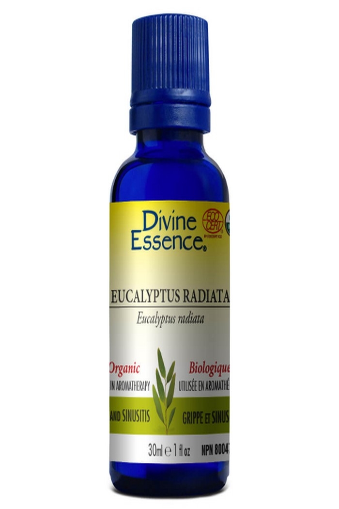 Divine Essence Eucalyptus Radiata 30ml