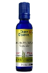 Divine Essence Eucalyptus Radiata 30ml