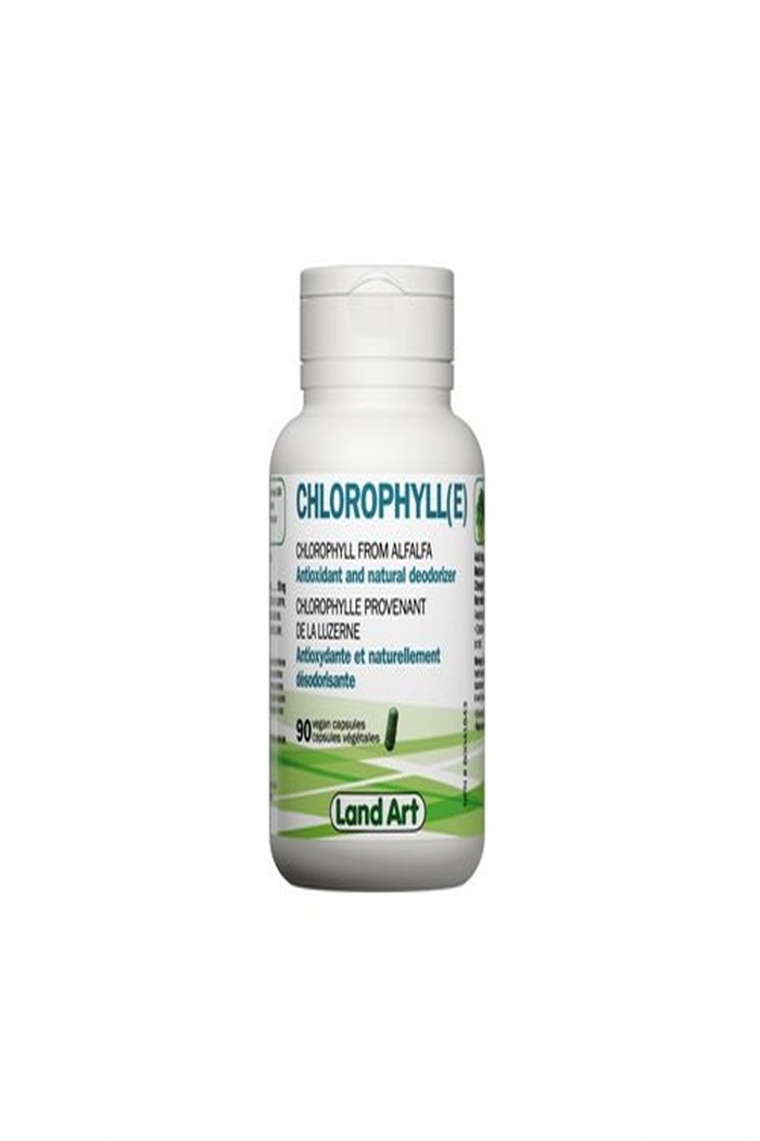 Landart Chlorophylle 90 capsules