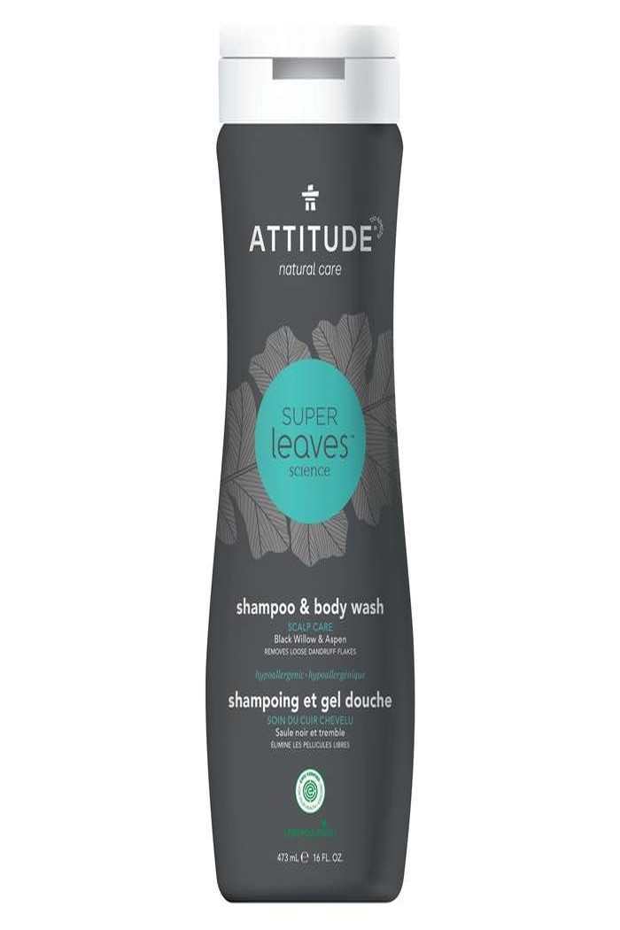 Attitude Shampooing et gel douche homme 2 en 1 473ml