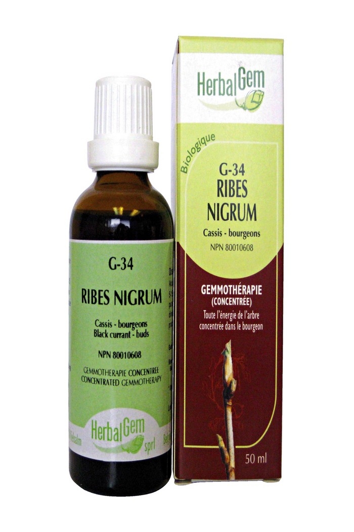 Herbal Gem G-34 Ribes Nigrum 50ml